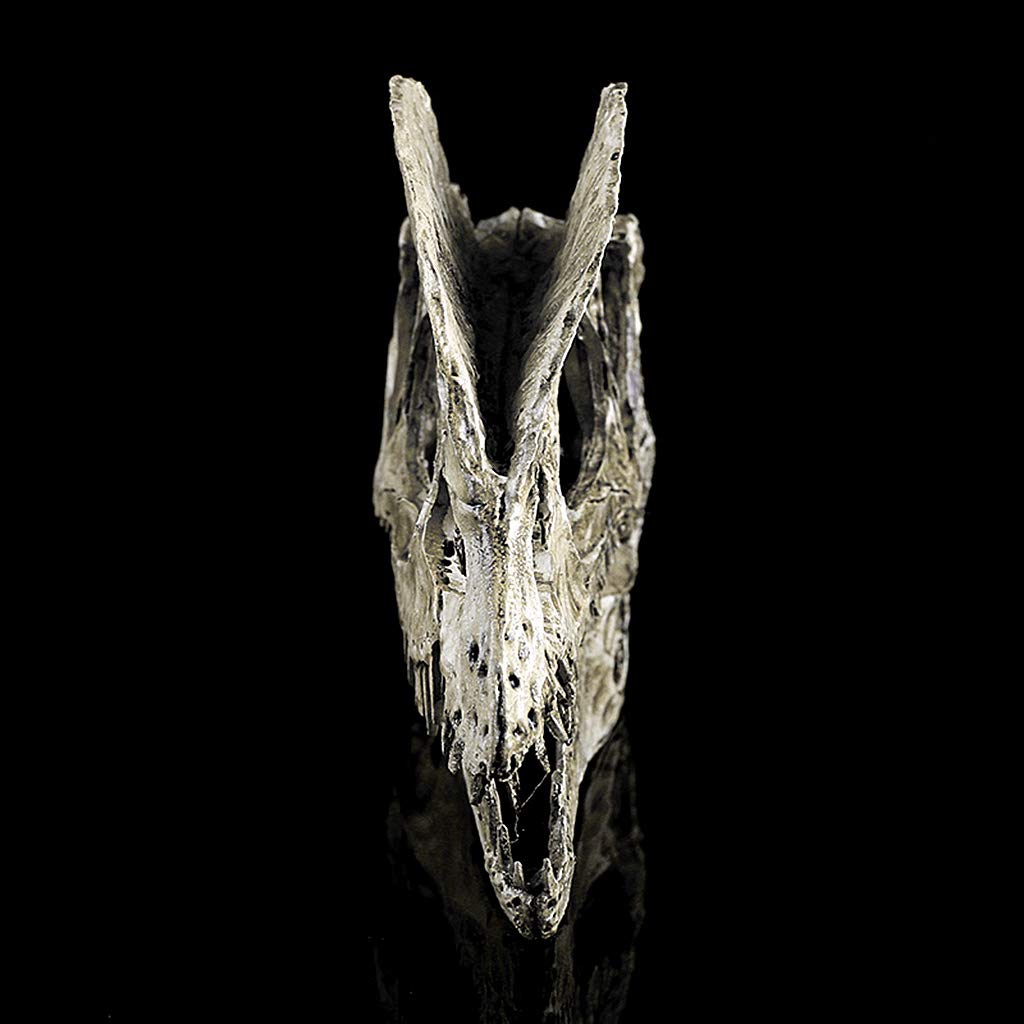 Amazon.co.jp: joyMerit 1/3スケールの恐竜ディロフォサウルス樹脂化石