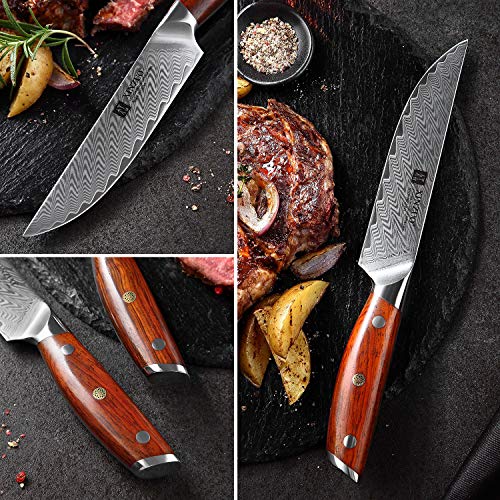 XINZUO 4-teiliges Steakmesser Set aus Damaststahl, 12,7 cm