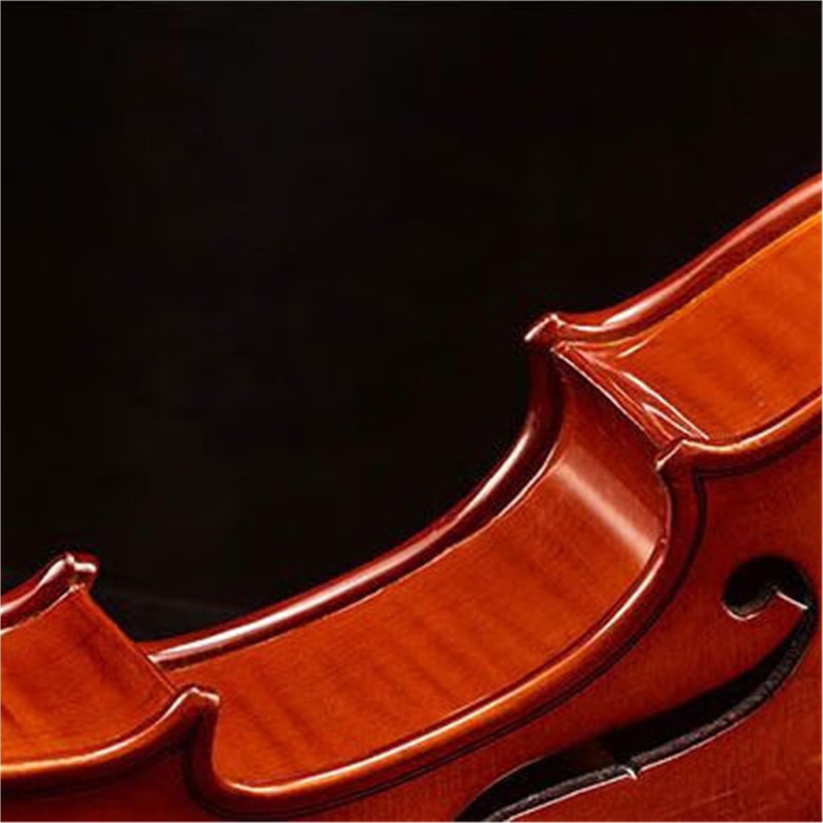 Violino Set Violino In Legno Per Principianti Violino Professionale Fatto A Mano 4/4 Adatto Per Altezze Superiori A 155 Cm