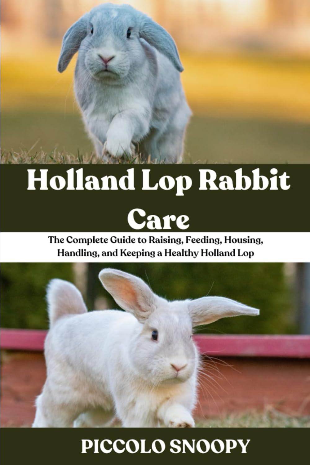 Holland Lop Rabbit Care: The Complete Guide to Raising, Feeding, Housing, Handling, and Keeping a Healthy Holland Lop
