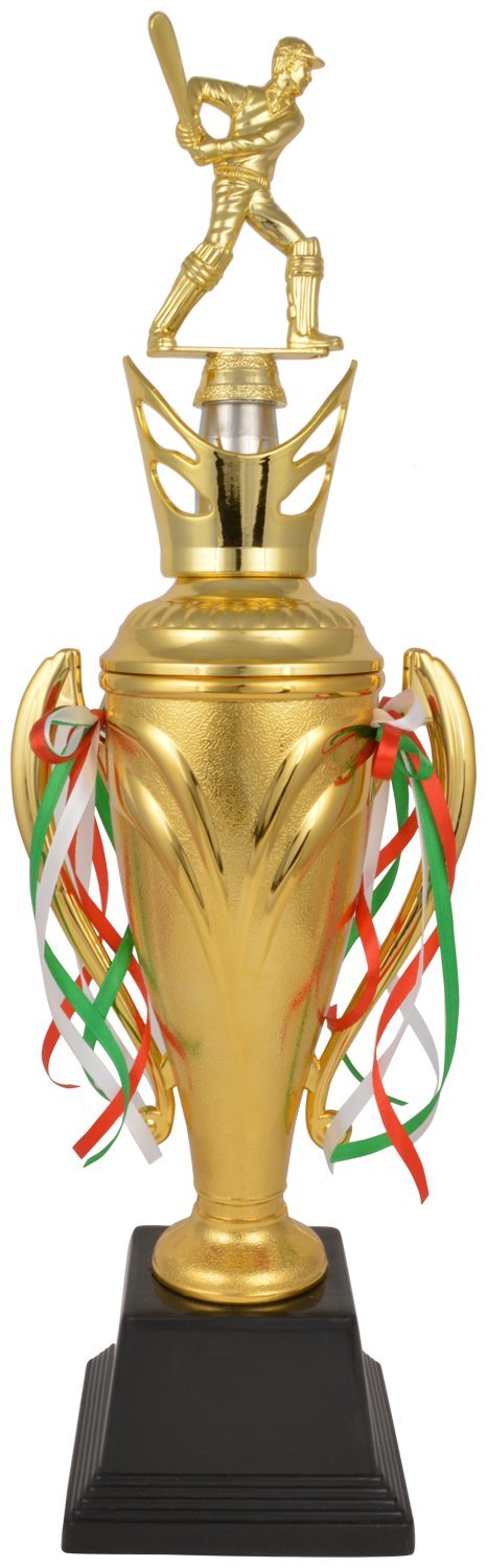TROPHY JUNCTION Metallic Fiber Krish Cricket Cup, 21.5-inches, Golden (B01GZP5328) Amazon Price History, Amazon Price Tracker