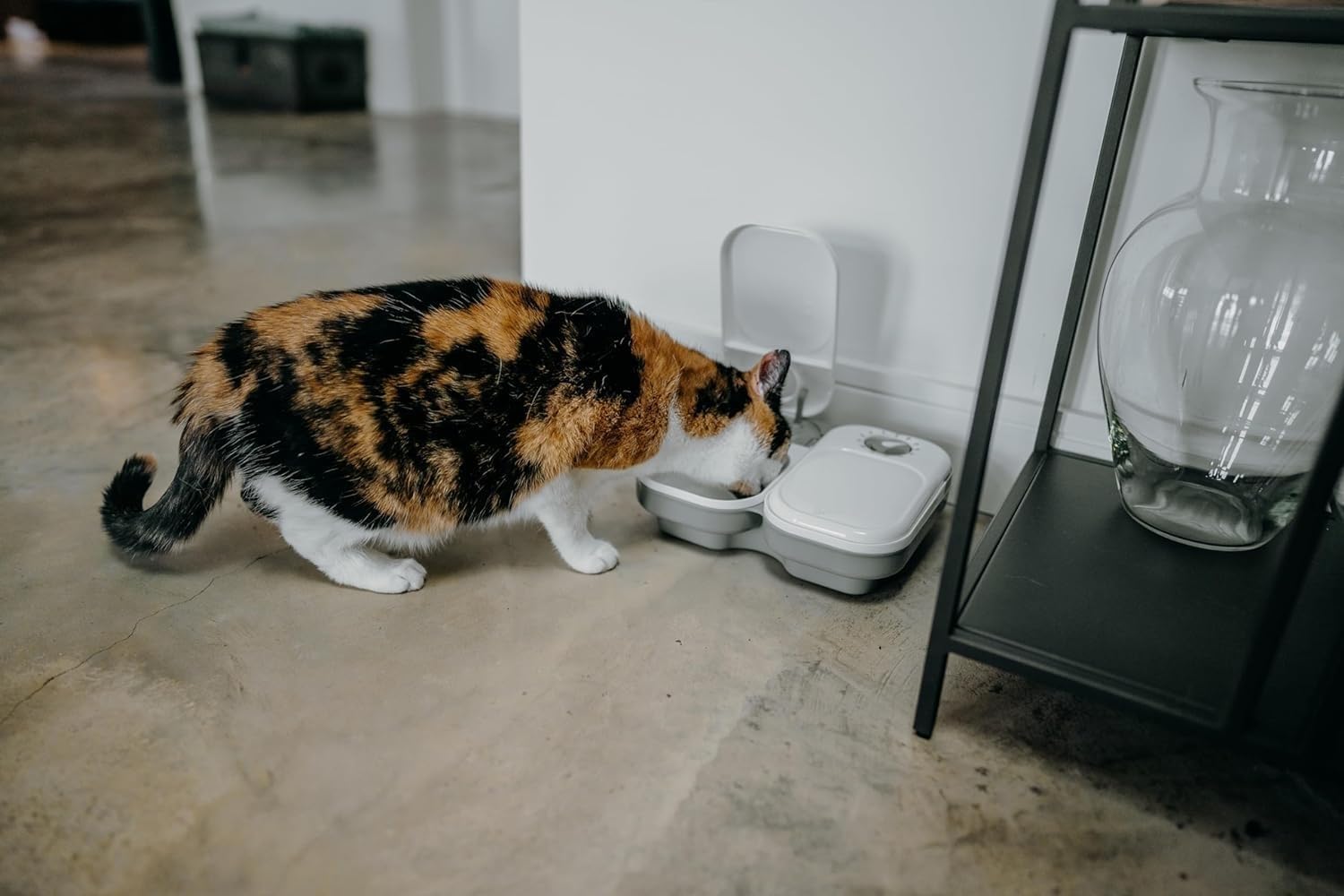 Hebezon Automatic Pet Feeder with Programmable Timer, Food Dispenser with 2 Bowls, Stainless Steel Bowl,1-48 Hours Timed Feeder for Cats & Dogs, (Pack of 1) 4