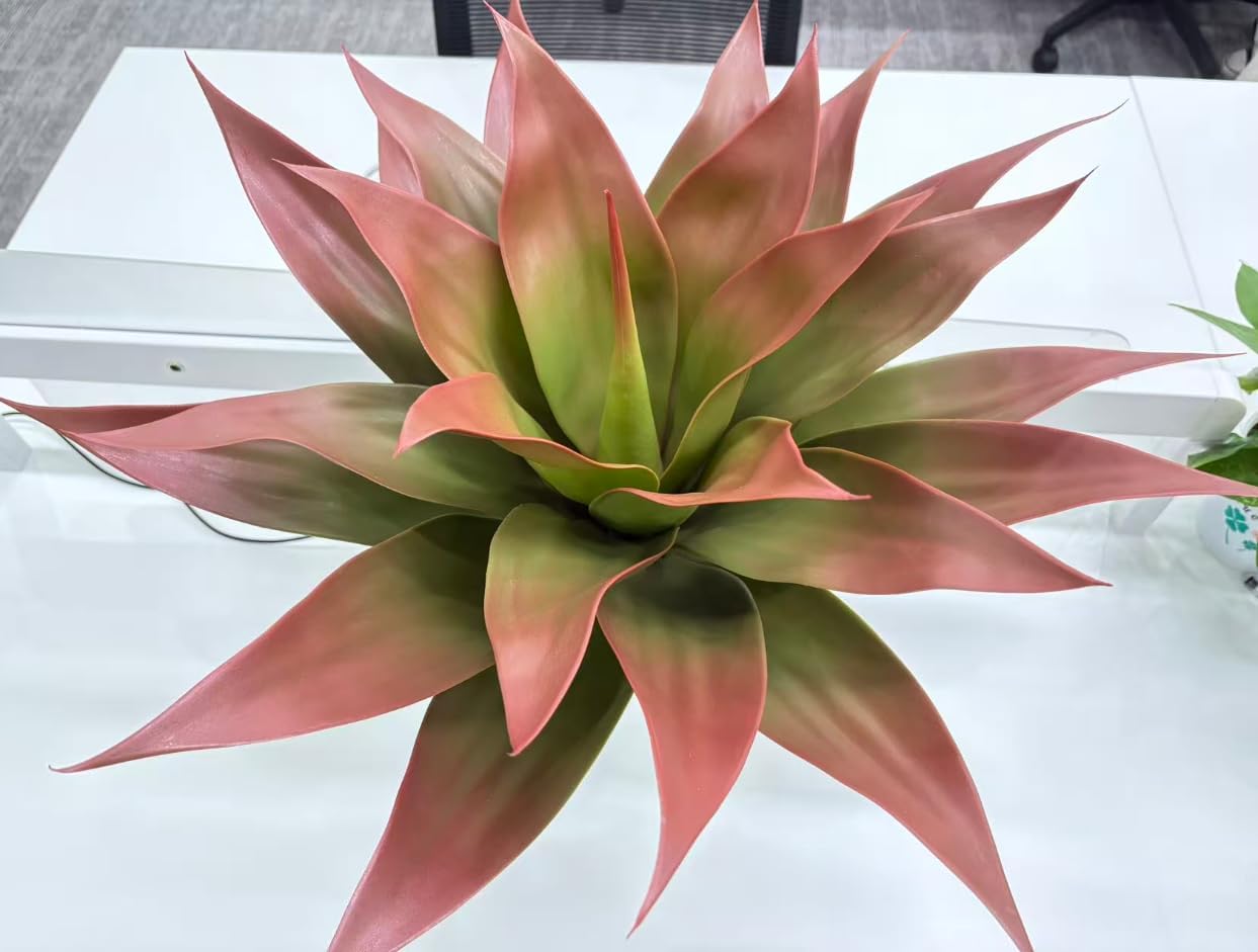 Artificial ageve Plant red