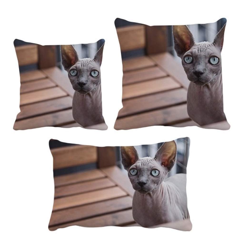 Housse de coussin chat canapé lavable pour protéger et décorer le salon
