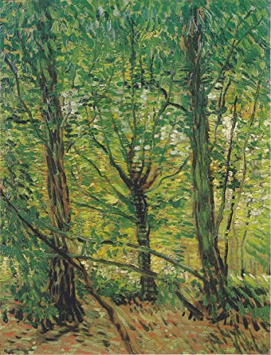 Toile Van Gogh Arbres et sous bois 60x90cm pour la décoration murale du salon