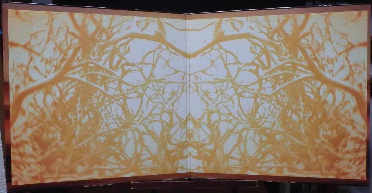 Amazon.co.jp: JM048河村隆一Love2LP, 97 JPN 初回オレンジ盤 J