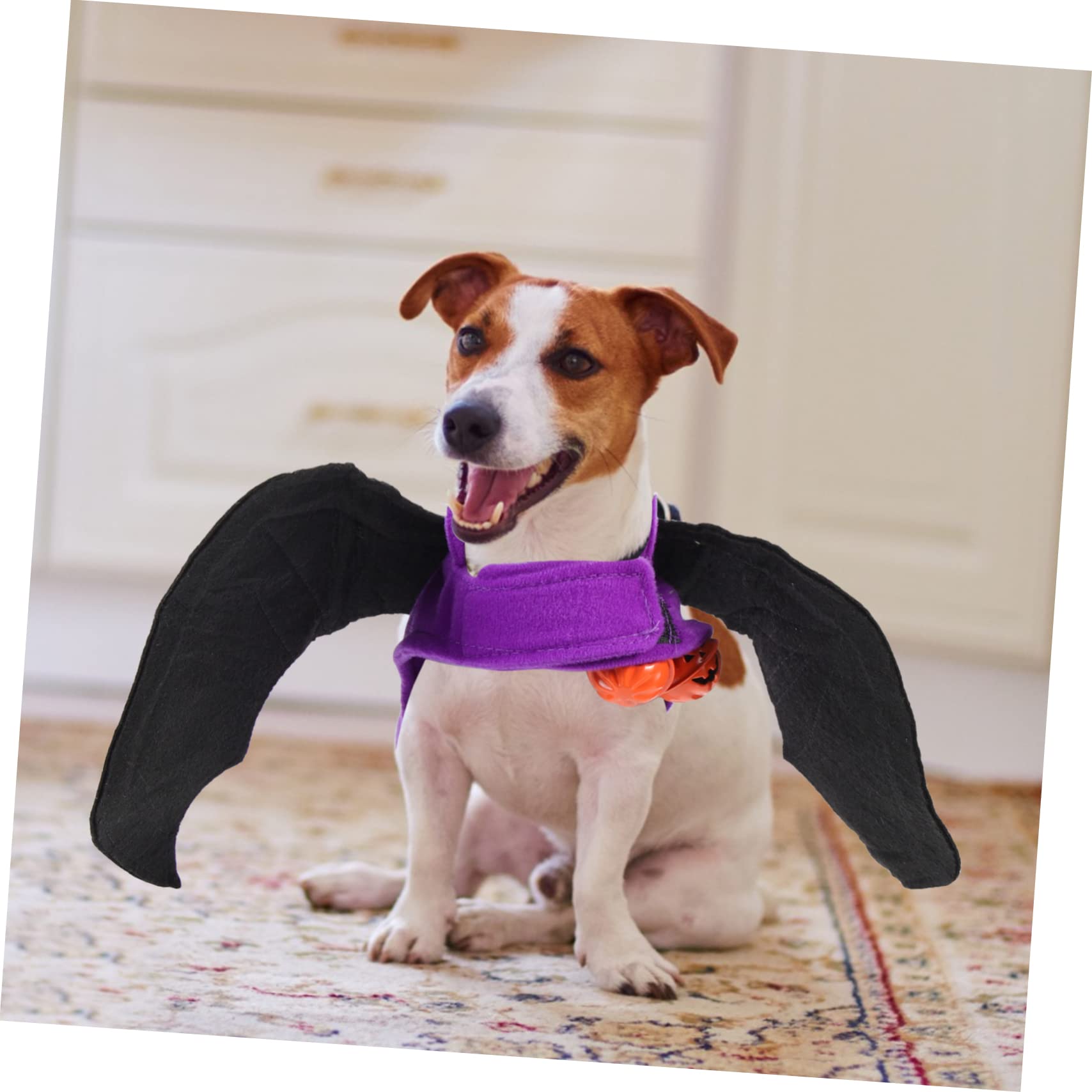 YARNOW 5 Pz Vestiti per la Pipistrello costumi halloween costume halloween costume da gatto diavolo da pipistrello per cani da compagnia arredamento da o cane