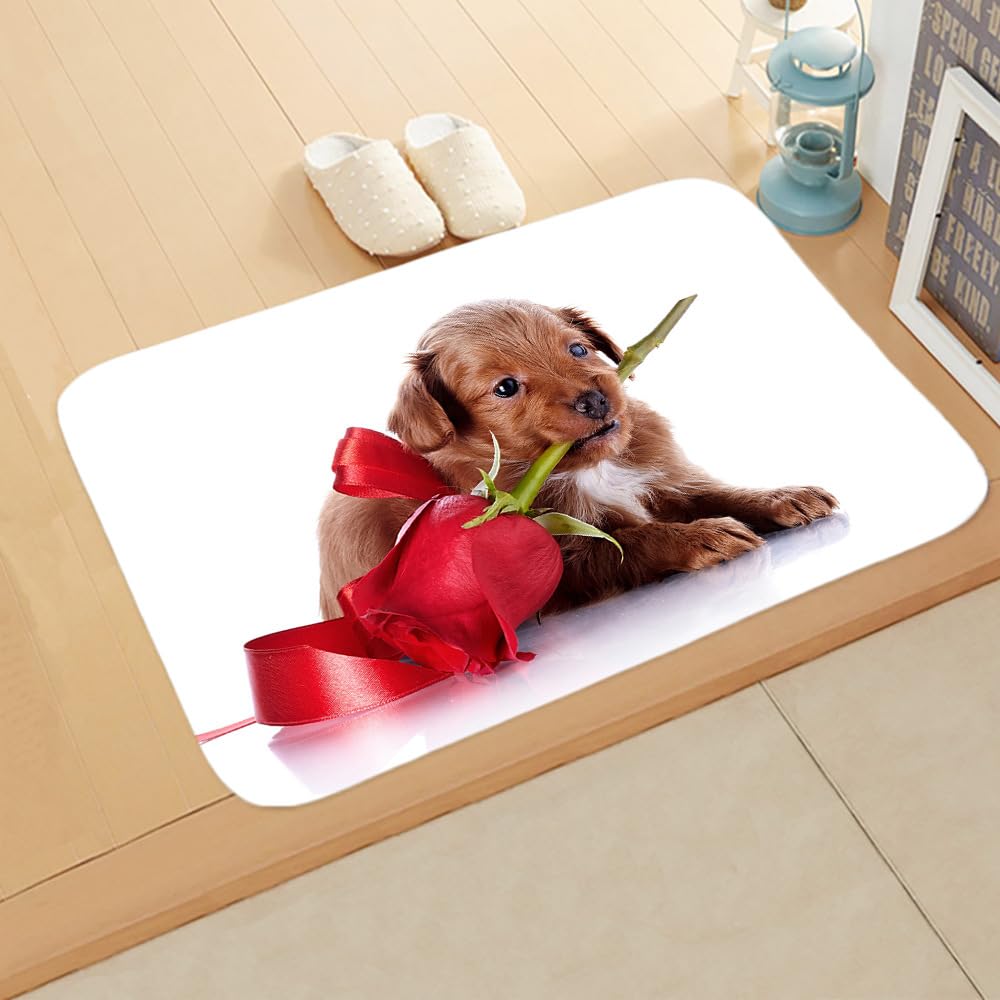 Tapis de couloir lavable fini les traces de pattes de chien au salon