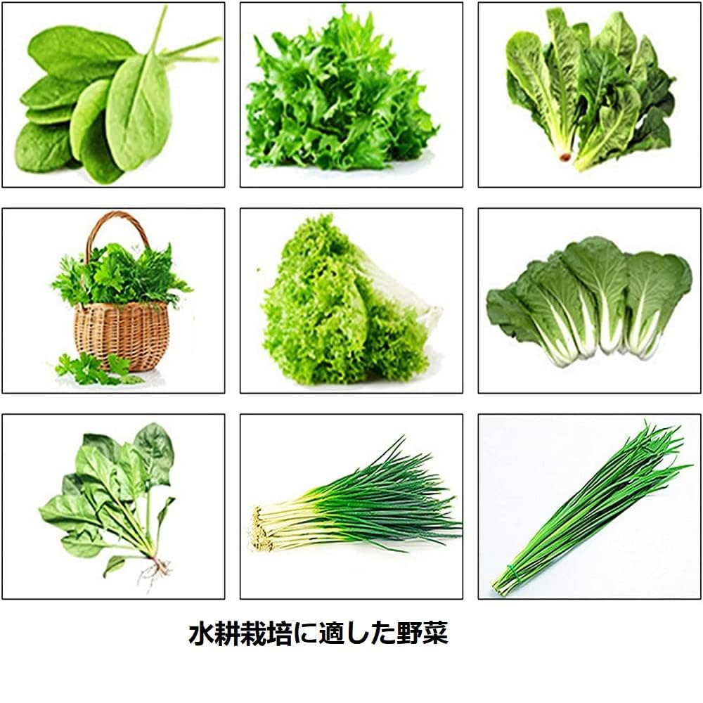 【未使用】 LAPOND 水耕栽培キット 中型水耕栽セット 野菜栽培セット Amazon.co.jp: LAPOND 水耕栽培キット 室内水耕栽培 中型水耕栽