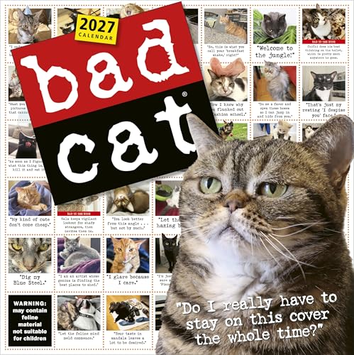 Bad Cat Wall Calendar 2027: Celebrating the Misfits of the Feline World