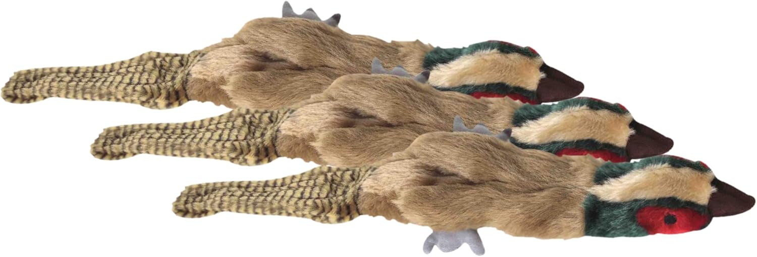 Multipet Migrators 18-Inch Empty Nesters Dog Toy with Squeakers Without Stuffing, Pheasant (Pack of 3)