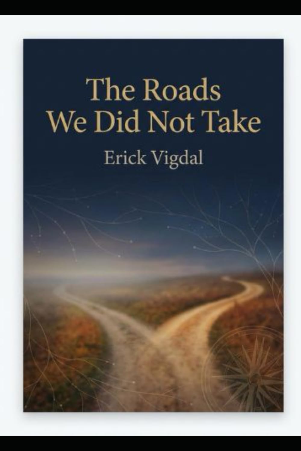 THE ROAD WE DID NOT TAKE