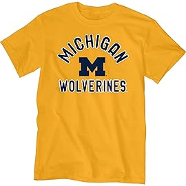 Blue 84 Men\'s Michigan Wolverines T Shirt Line Up Secondary Color, Michigan Wolverines Gold, Large