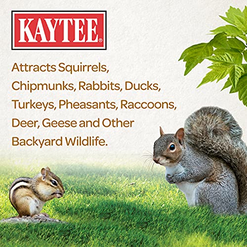 Kaytee Squirrel & Critter Food Blend For Squirrels, Chipmunks, Rabbits & Other Backyard Wildlife (Pack Of 2) #TOP5