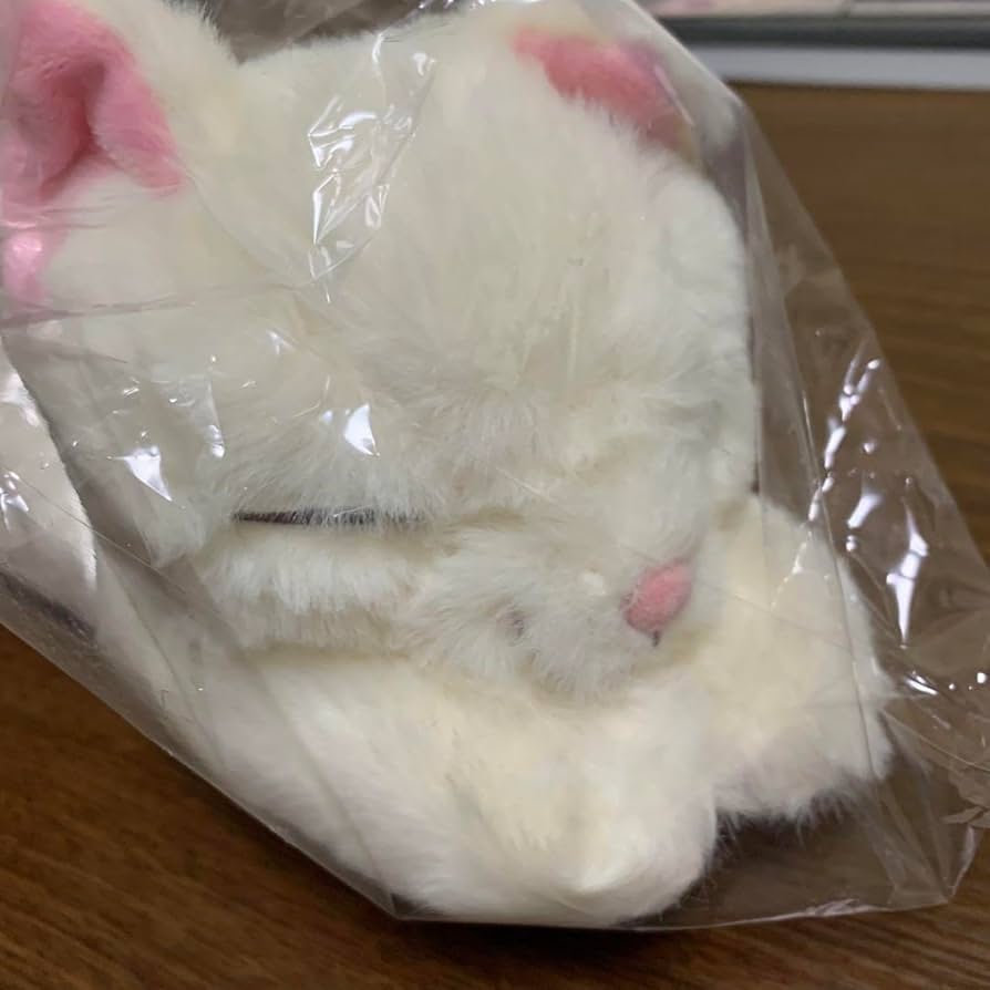 Amazon | パラライ 征木北斎 猫のルナ ぬいぐるみ バースデー缶バッジ Amazon | パラライ 征木北斎 猫のルナ ぬいぐるみ バースデー缶バッジ