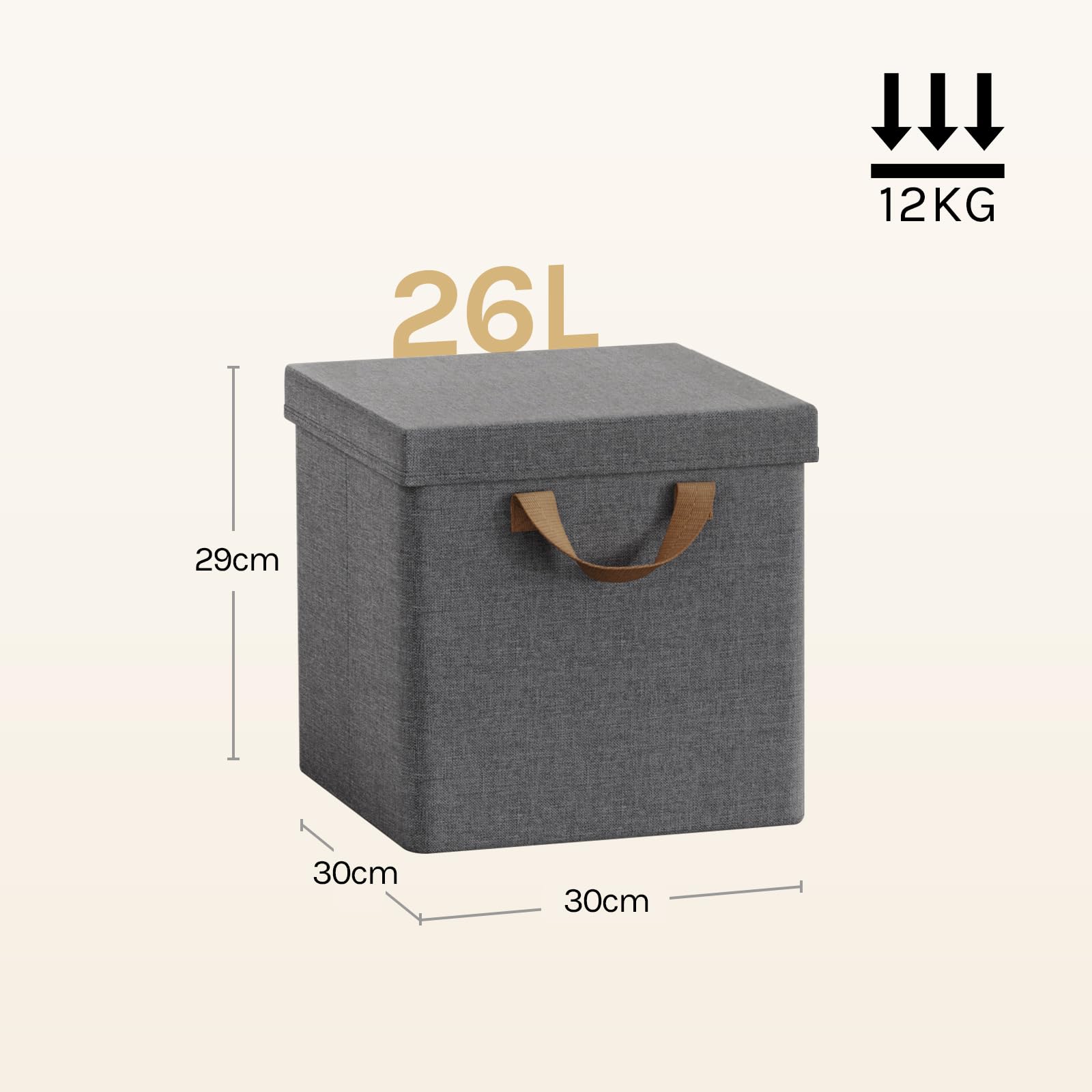 WOLTU Scatole Contenitori Pieghevoli Set di 5, Cubi in Tessuto con Coperchio, Manico e Struttura in Metallo, Organizer per Scaffale e Armadio, Grigio, 30x30x29cm