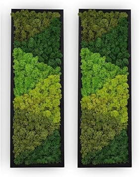 yersiz Large Moss Pattern Wall Art, Real Moss Wall Art for Living Room & Bedroom, Set of 2 Vintage Wall Panels for Interior Wall Decor, Bathroom & Home Decor, Eco-Friendly Natural Green Wall Decor