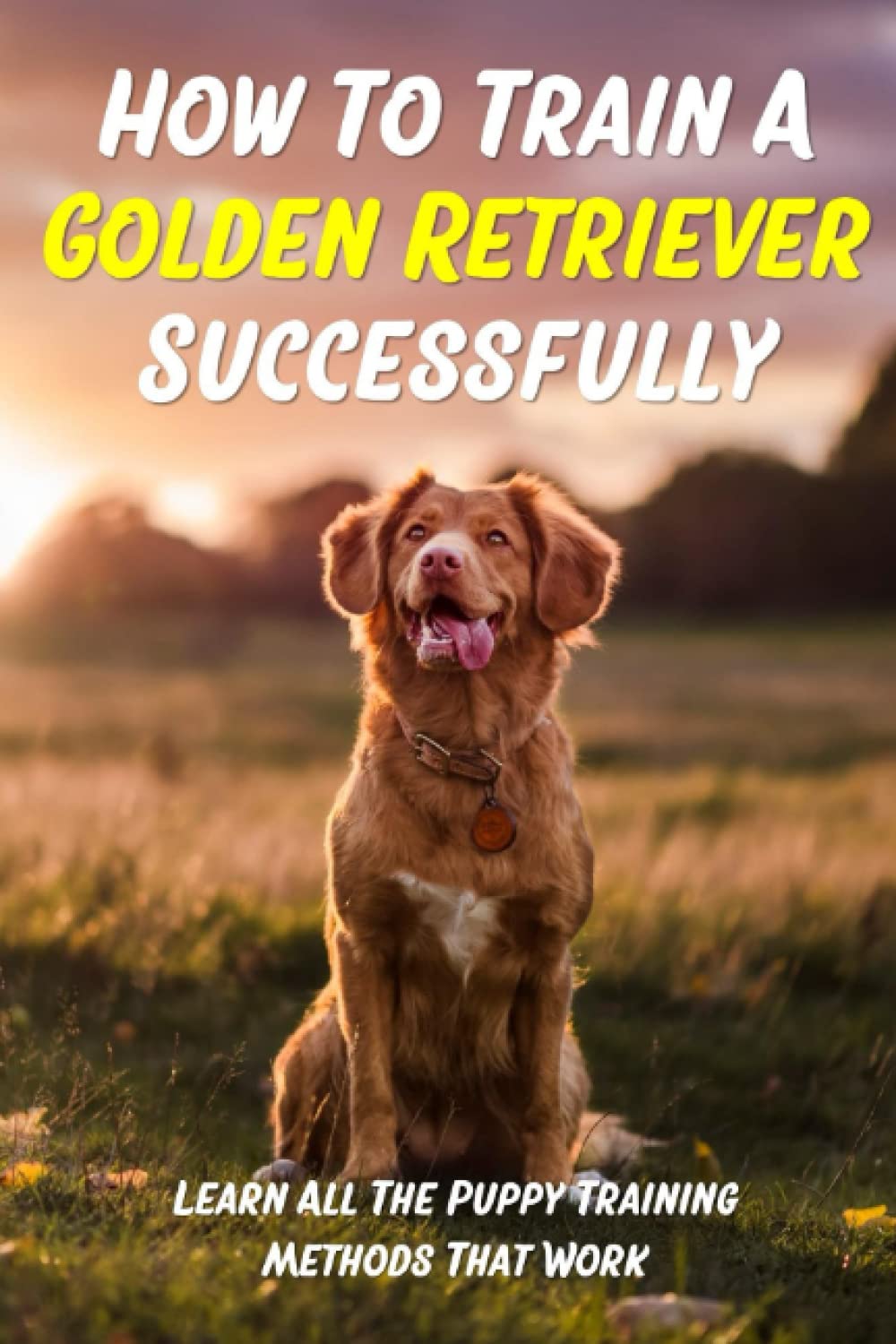 How To Train A Golden Retriever Successfully: Learn All The Puppy Training Methods That Work