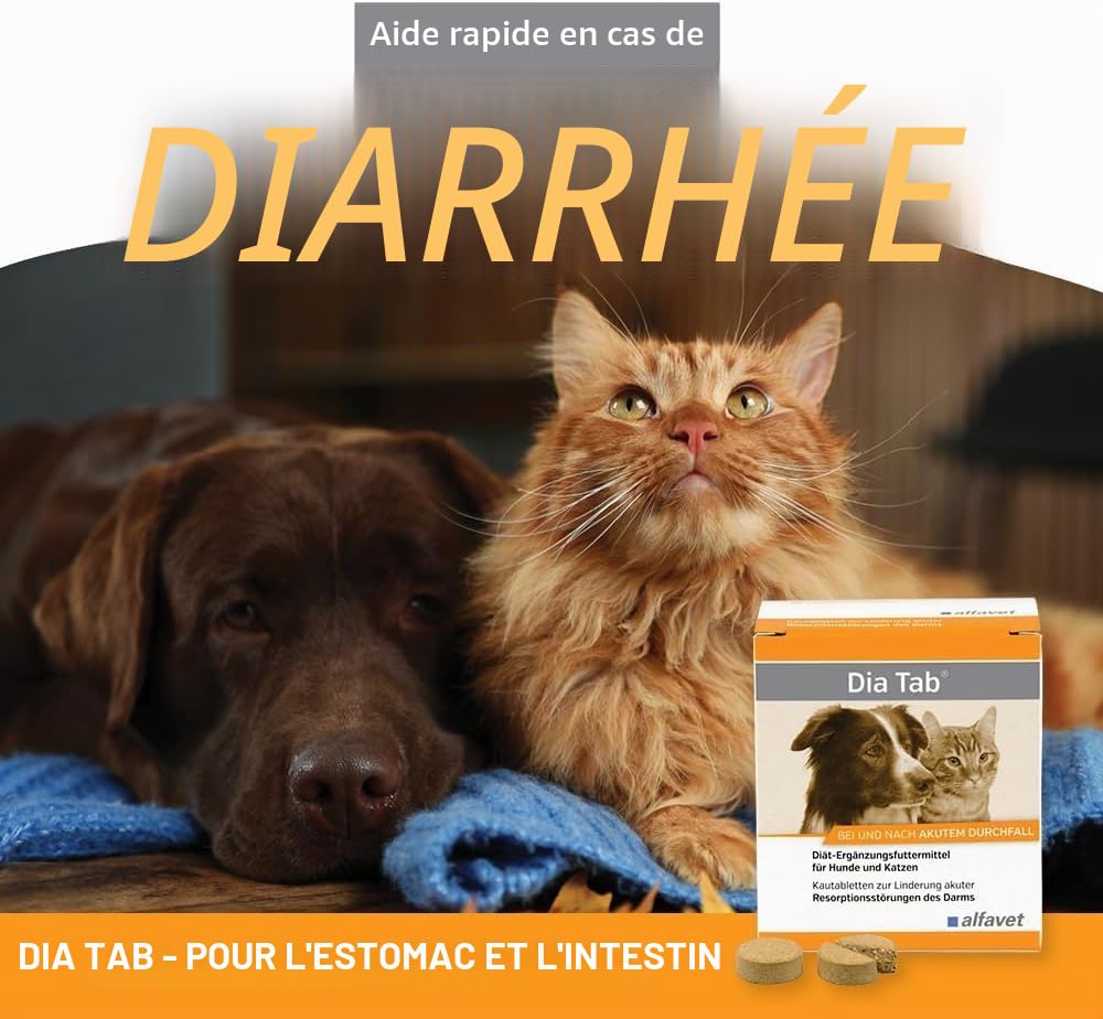 alfavet Dia Tab, complément Alimentaire diététique pour Chiens et Chats, comprimés à mâcher Contre la diarrhée et Les vomissements, 60 x 5,5 g