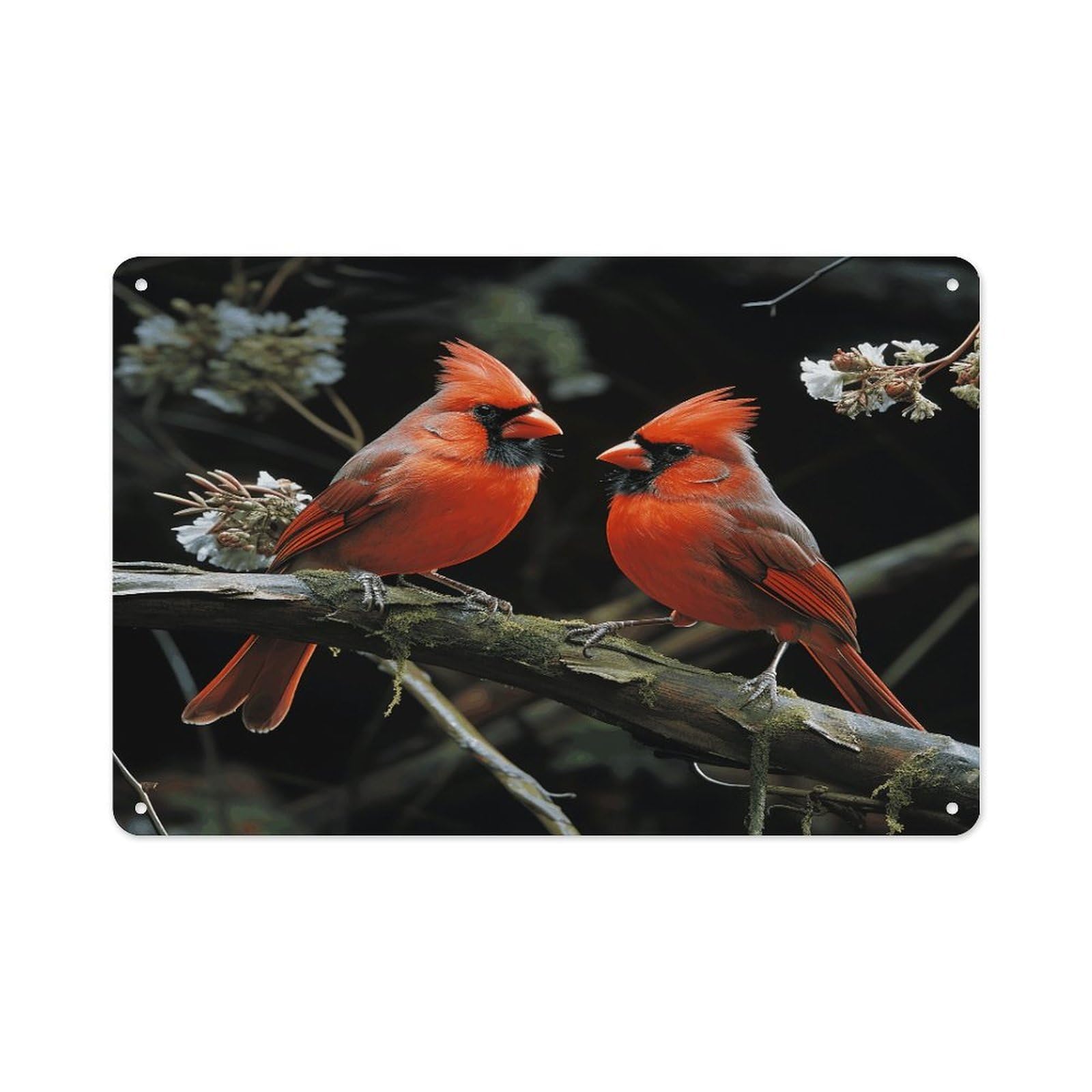 VstaDank Metal Aluminum Cardinals Birds Fauna Wild Sign Wall Decor Vintage Metal Sign Plaque Boho Wall Hanging Decor Sublimation Picture Panel Personalized Plaque Poster 8x12in