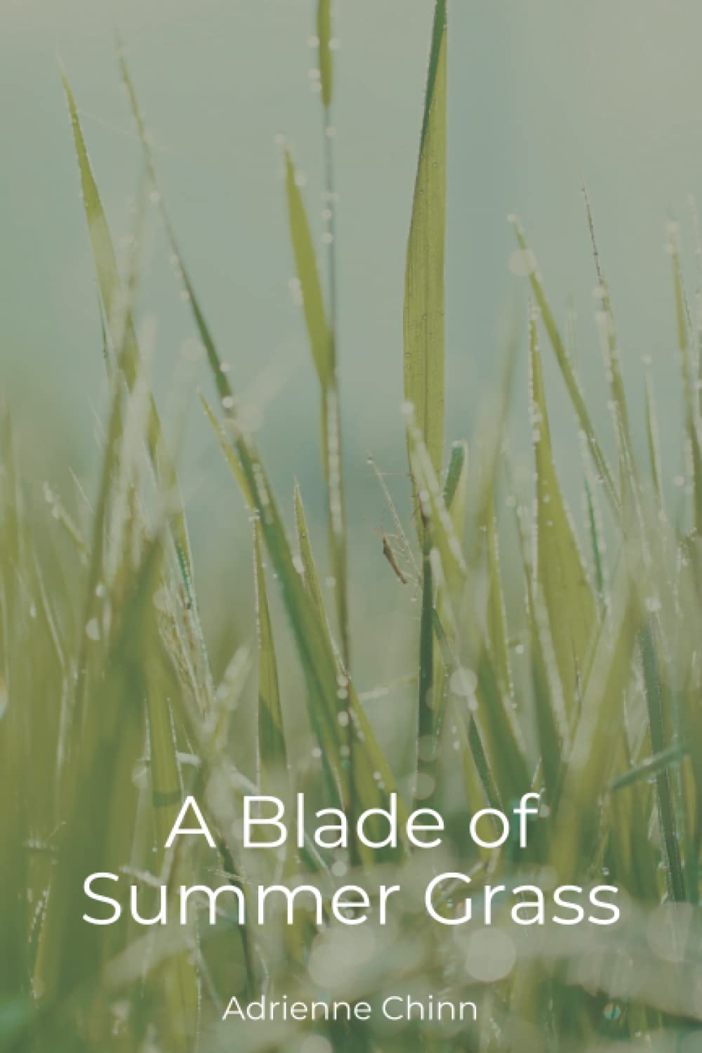 A Blade of Summer Grass: A Collection of Haiku and Tanka