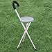 Handy Cane Seat XL