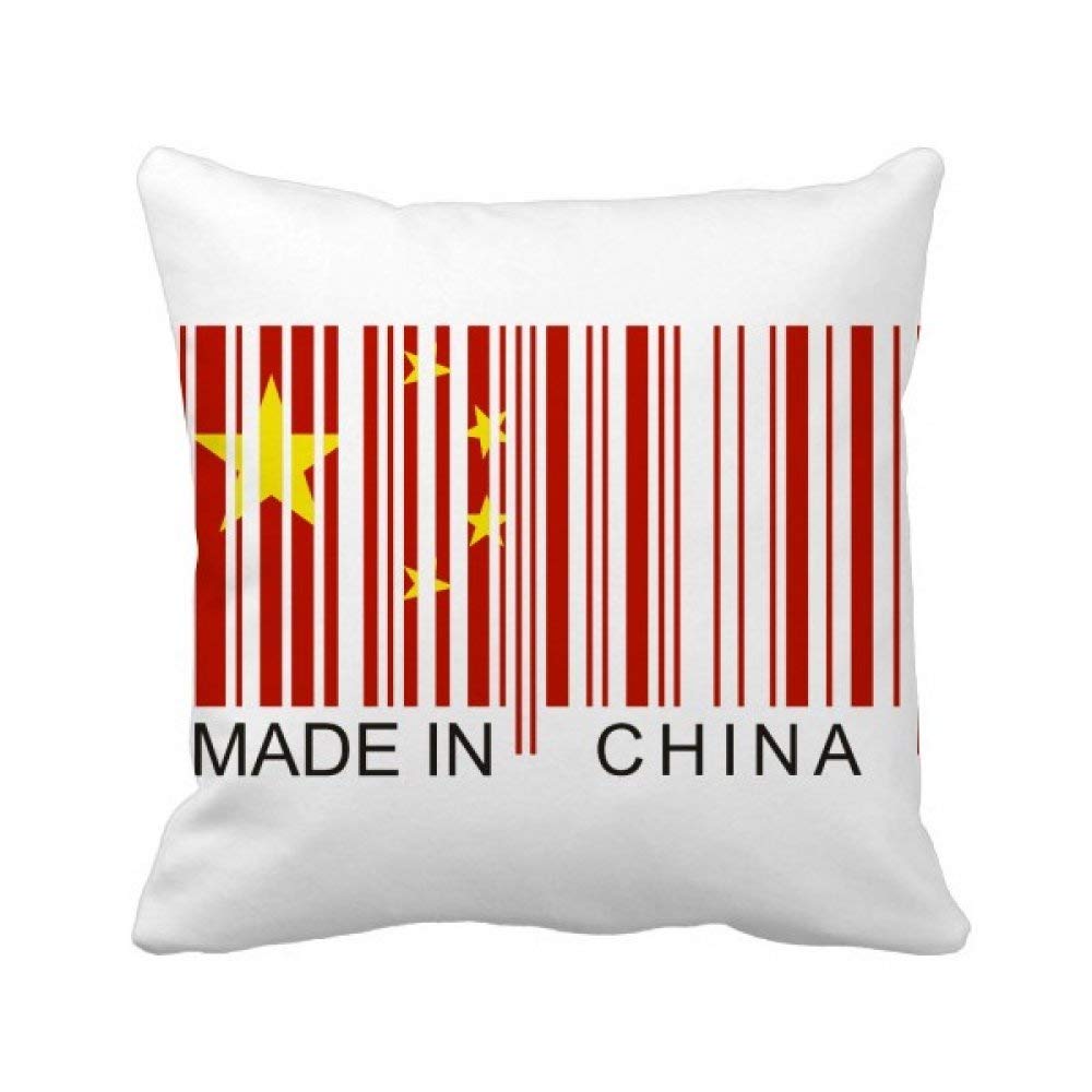 Housse de coussin chinoise motif authentique pour décoration intérieure ethnique