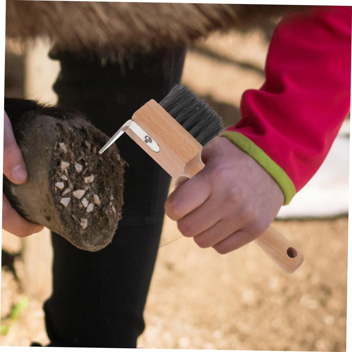Abaodam 2pcs Horseshoe Hook Brush for Hoof Trimming Horse Shoeing Tools for Farm Animals Hoof Care Tool