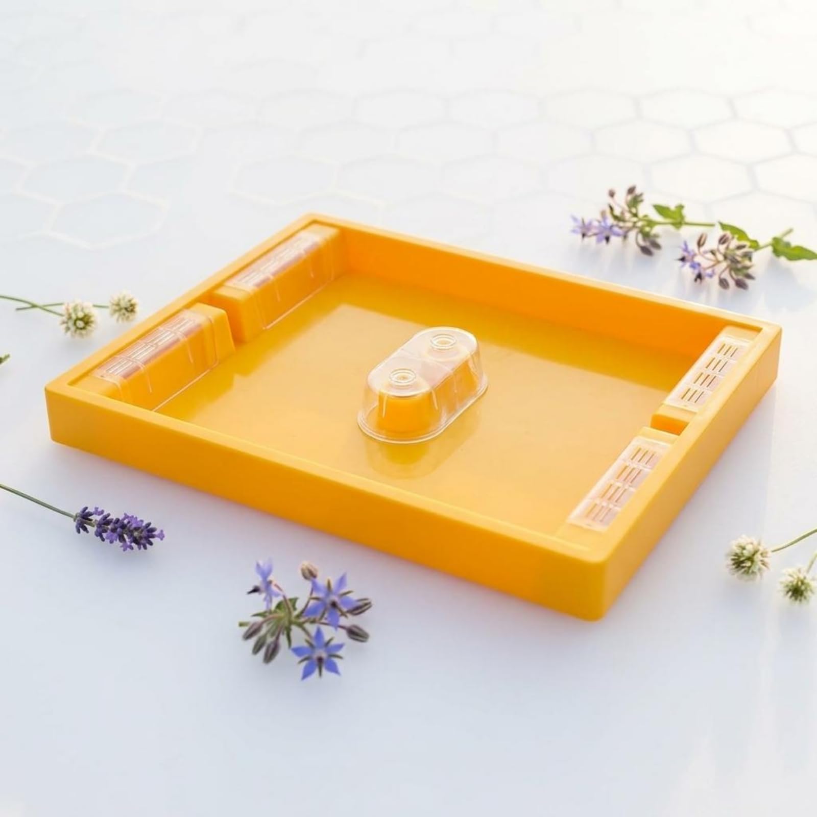 Insetto Idratazione Dispositivo Alimentatore Ape Arnia Contenitore Liquido Vassoio Nutritivo Strumento con Sezione Centrale Chiara E Struttura Leggera