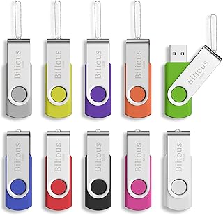 Bilious® 10 Pack USB Flash Drive, Swivel Metal Style Thumb Drives with Led Indicator, Portable Fold Memory Stick Keychain Design U Disk, Waterproof Jump Pen Drive (32GB, 10 Pack)