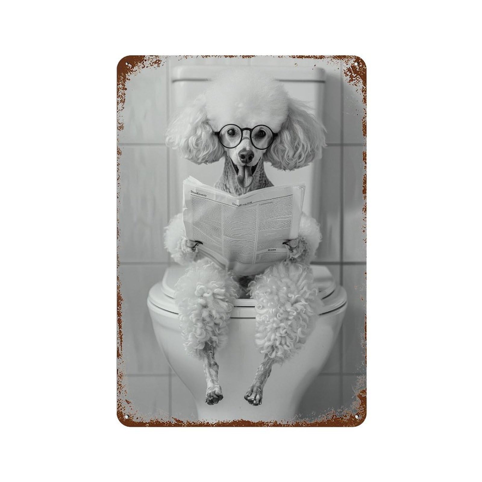 xiaoxiaoshen Funny Poodle Newspaper Print Wall Decor Art Metal Tin Poster Modern Home Decor Art Home Bar Shop Decorations Vintage Sign 30x20cm