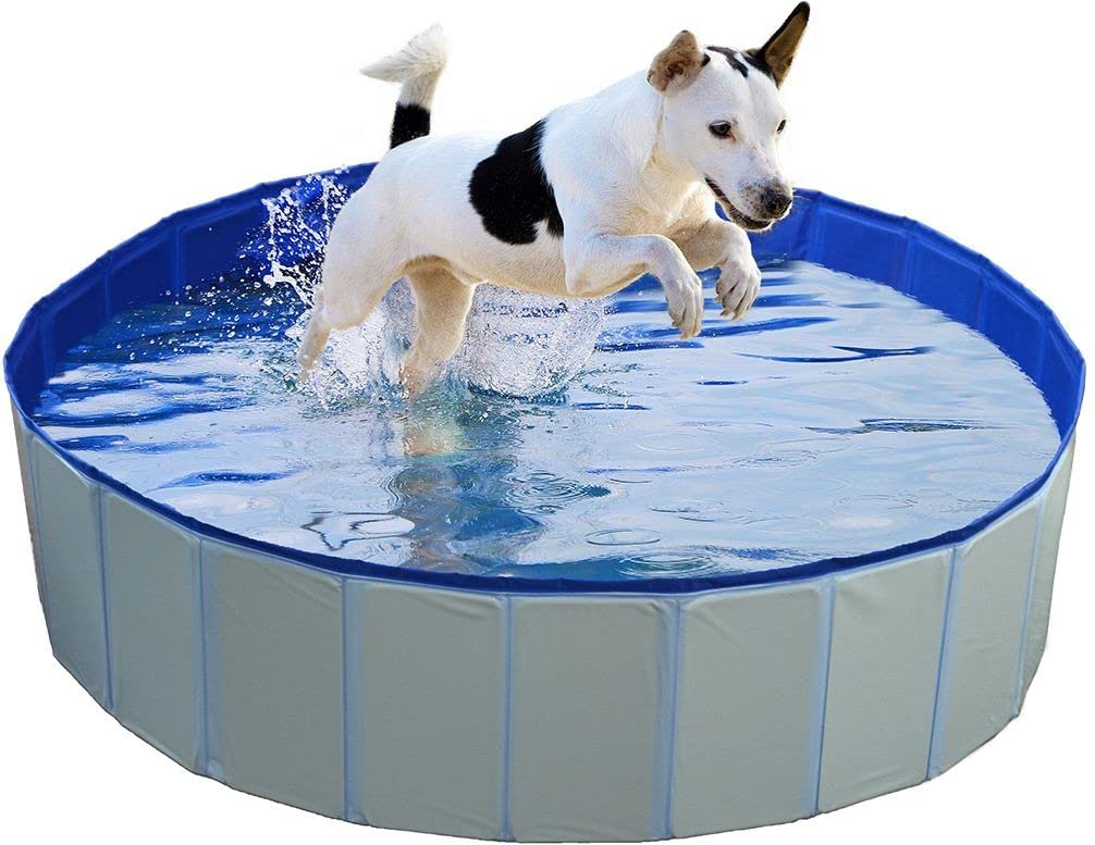 Pets accesories Duvo+ DUVO Piscina para Perros Azul