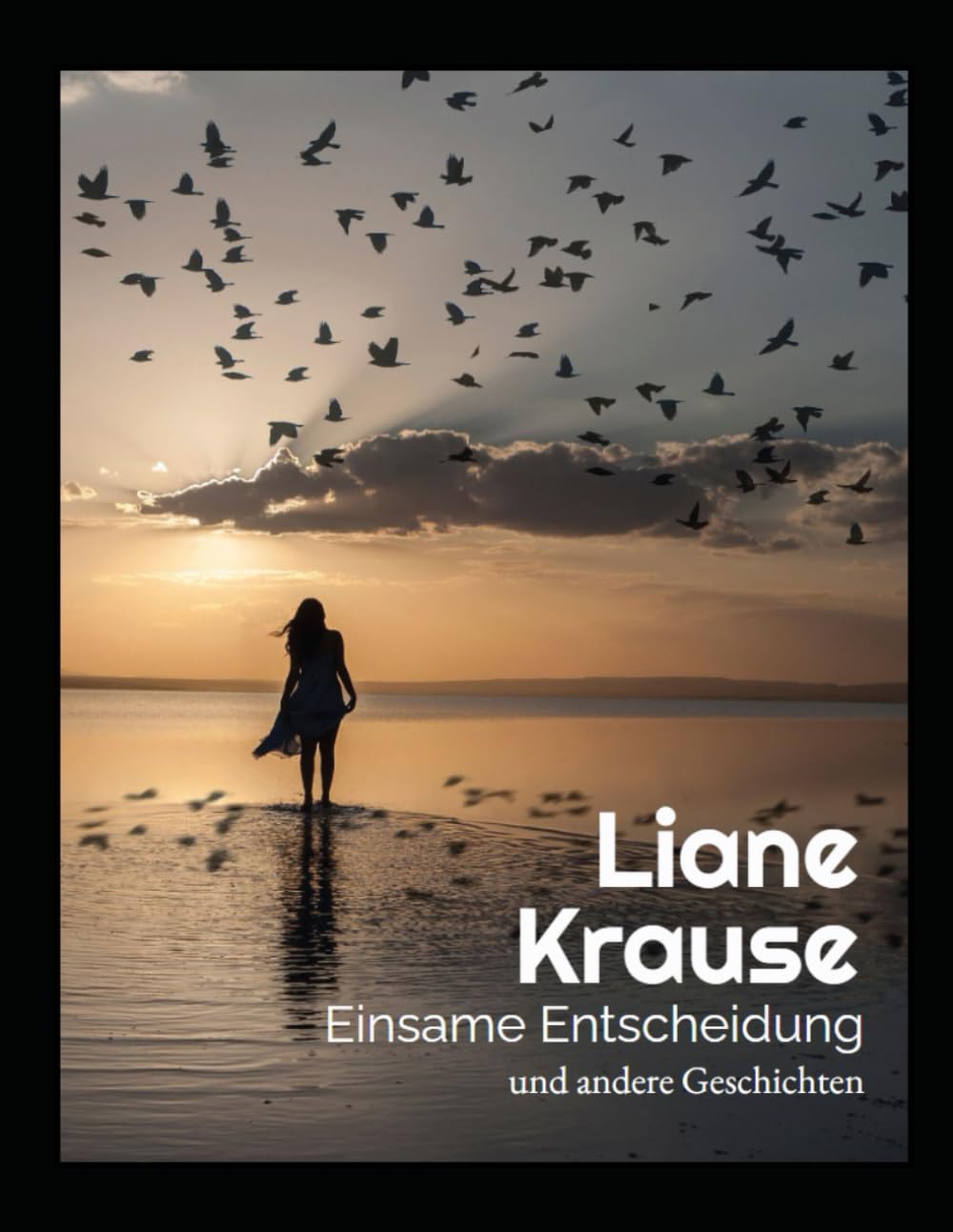 Einsame Entscheidung: und andere Geschichten