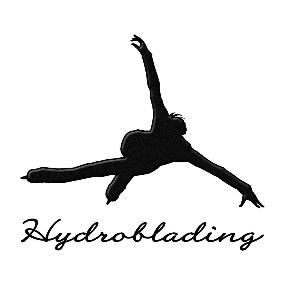 Amazon.co.jp: 蒔絵シール フィギュアスケート 「ハイドロブレー