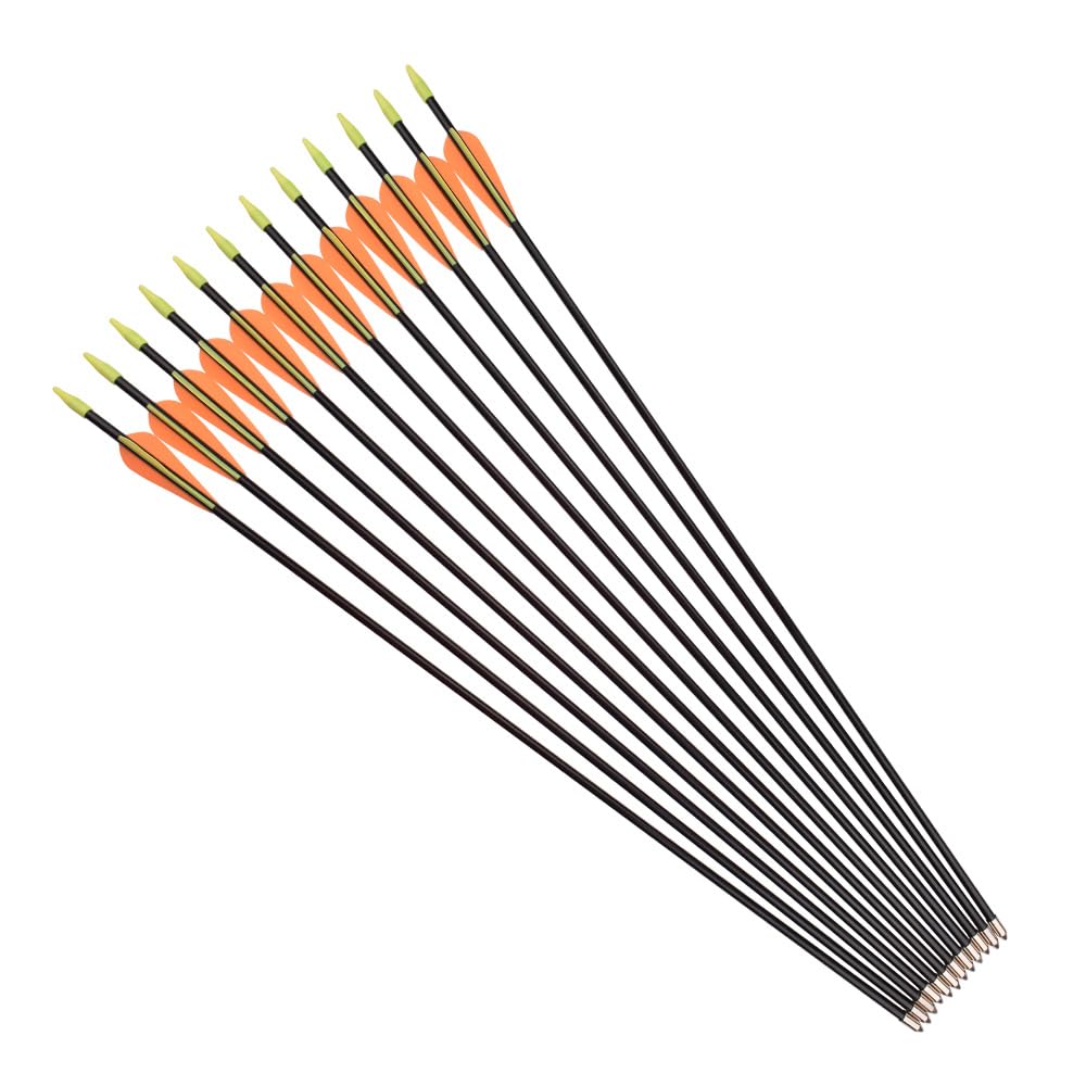 Lot de 12 flèches en fibre de verre - Pour tir à l'arc - 7 mm