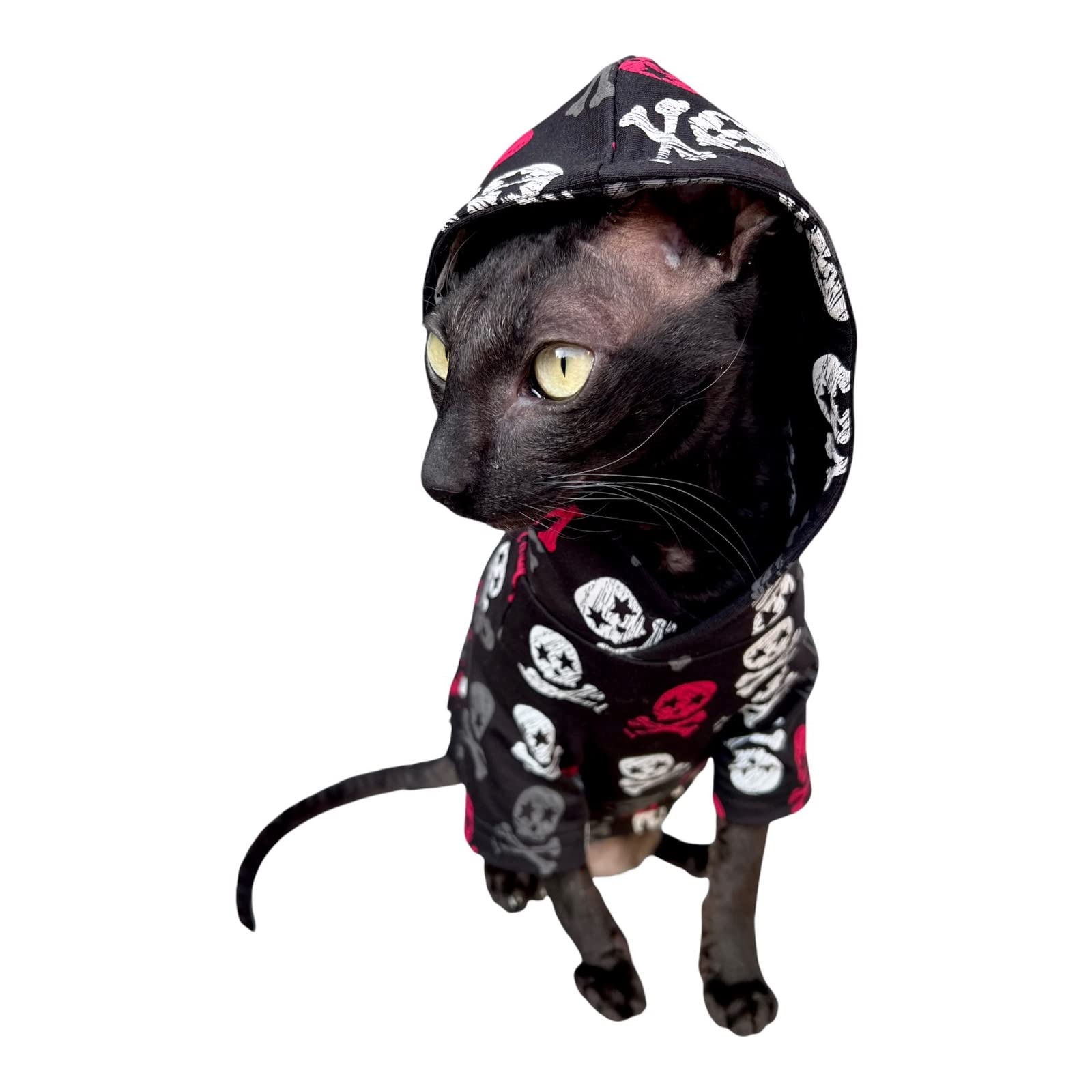 Pull chat Sphynx coton têtes de mort contre le froid hivernal