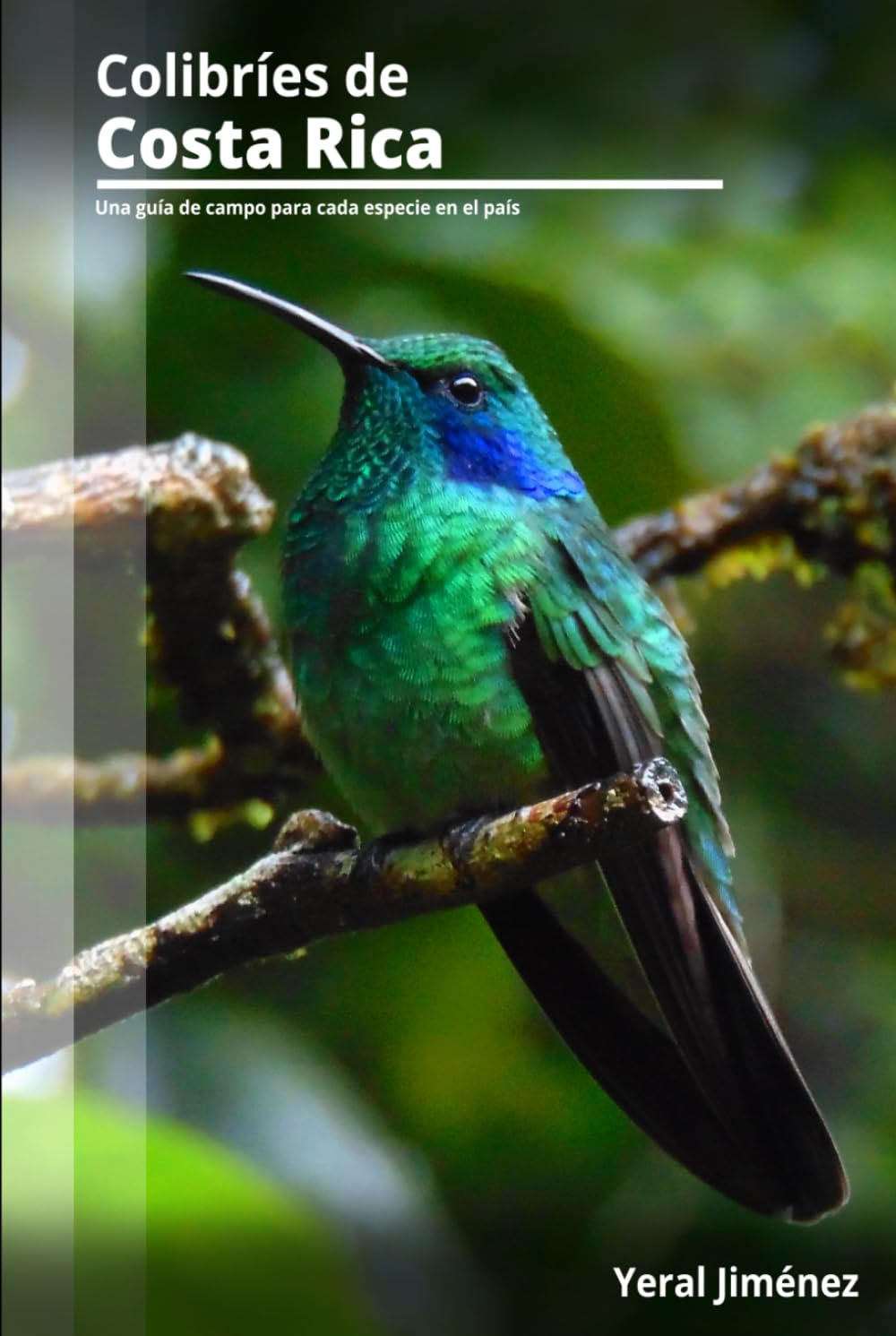 Colibríes de Costa Rica: Una guía de campo para cada especie en el país (Aves de Costa Rica)
