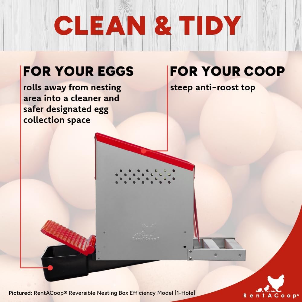 RentACoop Roll-Out Reversible Nesting Box Efficiency (One Compartment) for Chickens, Ducks, Poultry