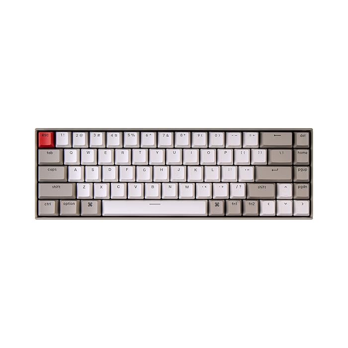 Buy Keychron K6 68Keys Wireless Mechanical Keyboard for Mac, 65