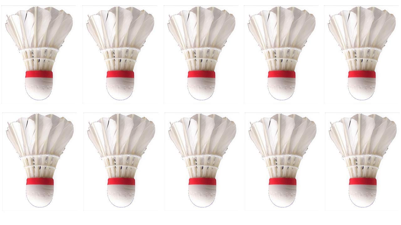 Lion Sports Badminton Feather Shuttlecock Gold Series, Pack of 10 (White)-image-23