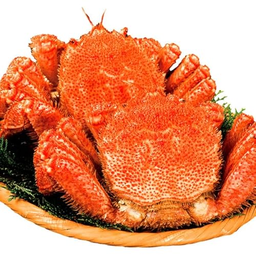 kCY^уKj {C ^ Jj  I ъI уKj т JjX b b Ǖi (2.2kg 3 d1.8kg)