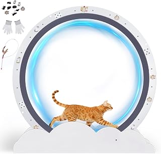GTPLAYER 40-inch White Wave cat exercise wheel