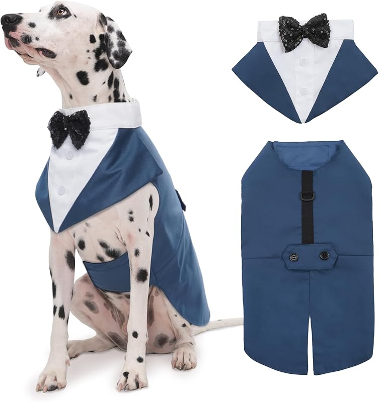 Fantasia para Cães Kuoser: Smoking com Bandana e Argola D, Azul Royal, XXL