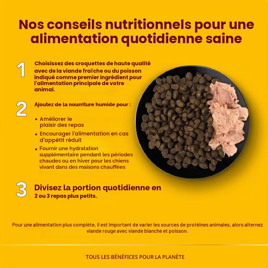 Almo Nature - Holistic Maintenance Complete Dry Croquettes pour Chiens Adultes de Petite Race avec du bœuf Frais - 1 Paquet de 2 kg, Transparent