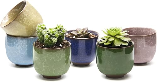Miniatura 4 de Goldblue Ice Crack Zisha Serial - Maceta de cerámica para suculentas (6 unidades)