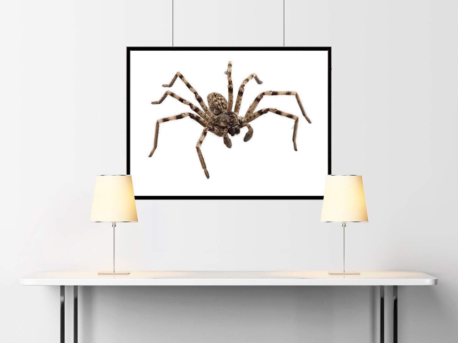 Dental Tofflemire Matrix Band #1, Gauge 0.0015, 12/pk