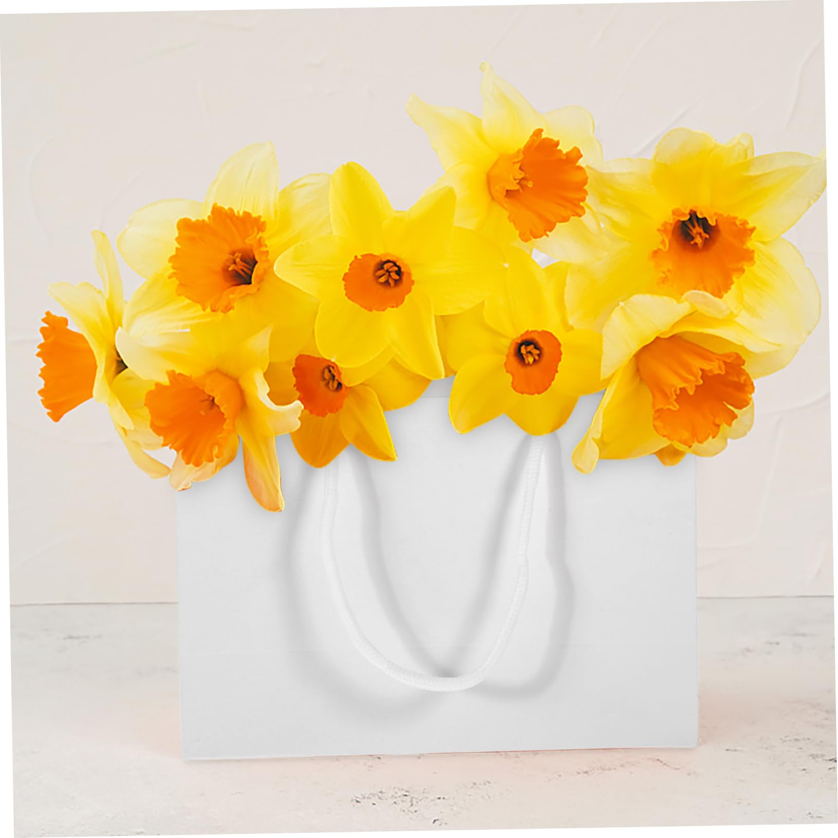 Zerodeko 20stücke Party Süßigkeitentüten Mit Griffen Geschenktüten Für Leckereien Kleine Goodie Bags Zur Geburtstagsparty Geburtstagsgeschenktüte Verpackungstüten Für Hochzeit Und