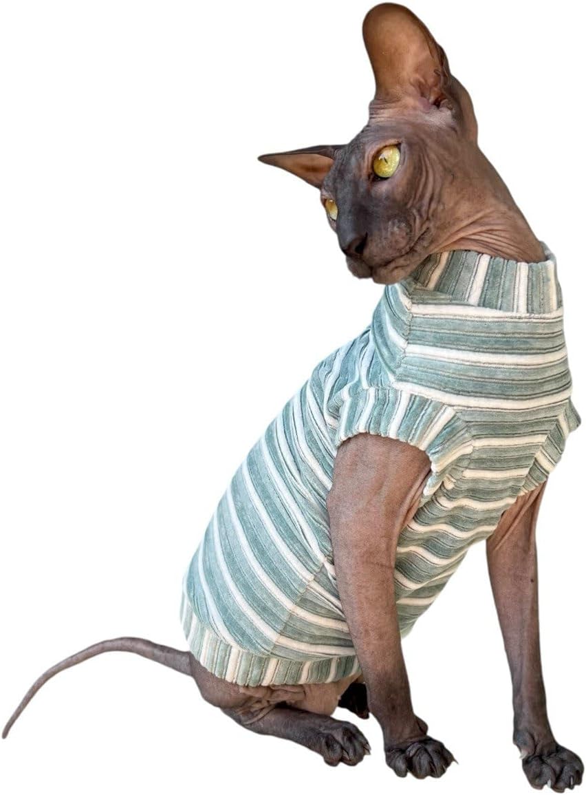 cat WEAR Sphynx Cat's T-Shirt Silver Crown Skull #3 (S)