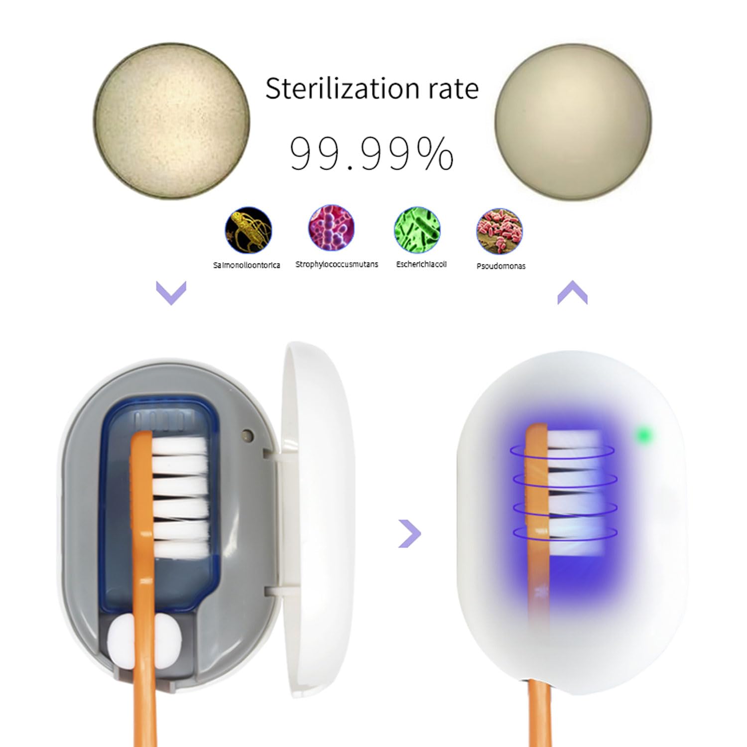 Boîte de désinfection de brosse à dents électrique portable et de séchage intelligent, UVC, appareil de désinfection à fixation murale, convient pour les voyages en plein air, les dortoirs
