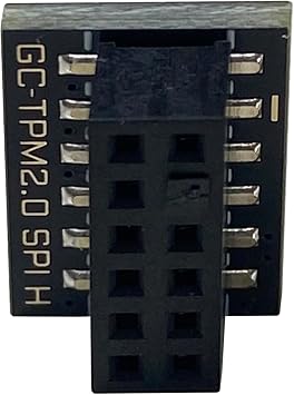 TPM2.0 Module 12 Pin(12Pin-1) SPI for Gigabyte motherboards for GIGABYTE GC-TPM20 SPI Platform Accessories